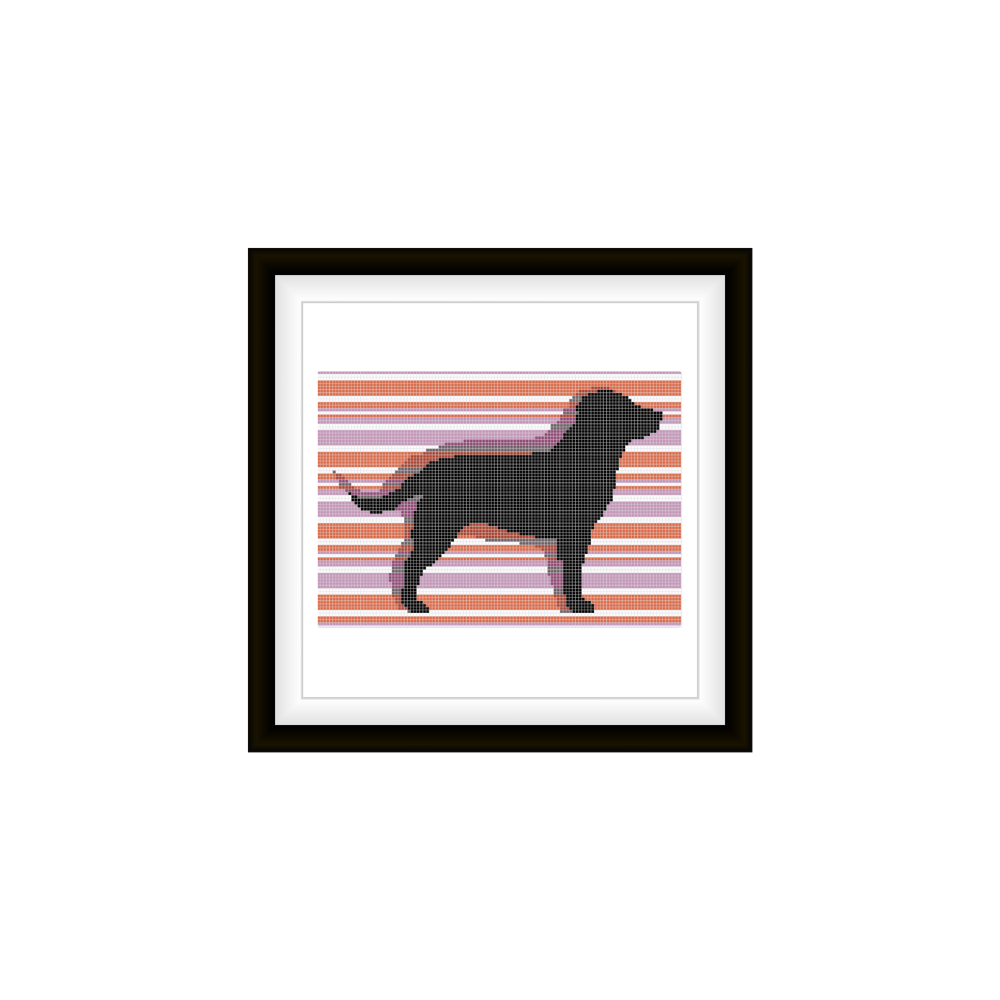 Shadow Play - Dog