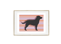 Shadow Play - Dog